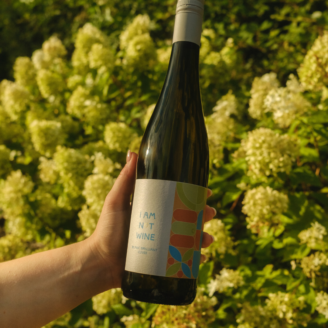 Bundle I Blanc Brilliant Cuvée I alkoholfreier Weißwein I 6 x 750ml