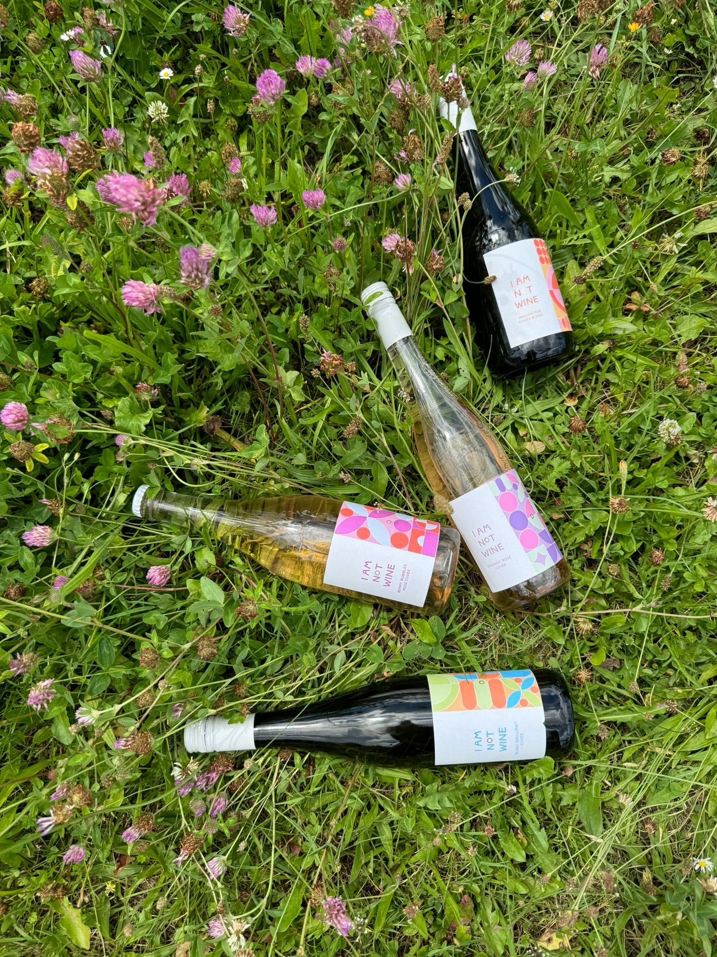 Alkoholfreies Kennenlernpaket + gratis Wein