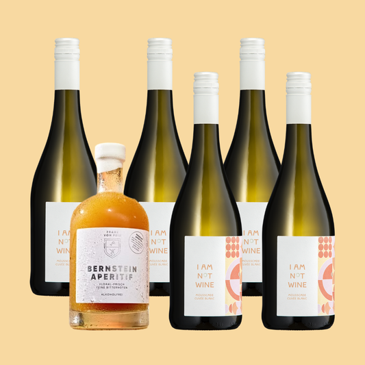 Bernstein Spritz I alkoholfreier Aperitif I I AM NOT WINE x Franz von Fein
