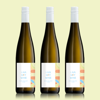 Bundle I Blanc Brilliant Cuvée I alkoholfreier Weißwein I 3 x 750ml