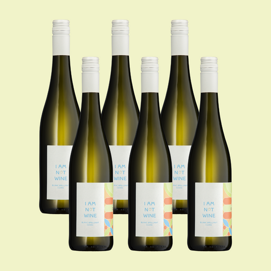 6 x Blanc Brilliant Weißwein Bundle alkoholfrei