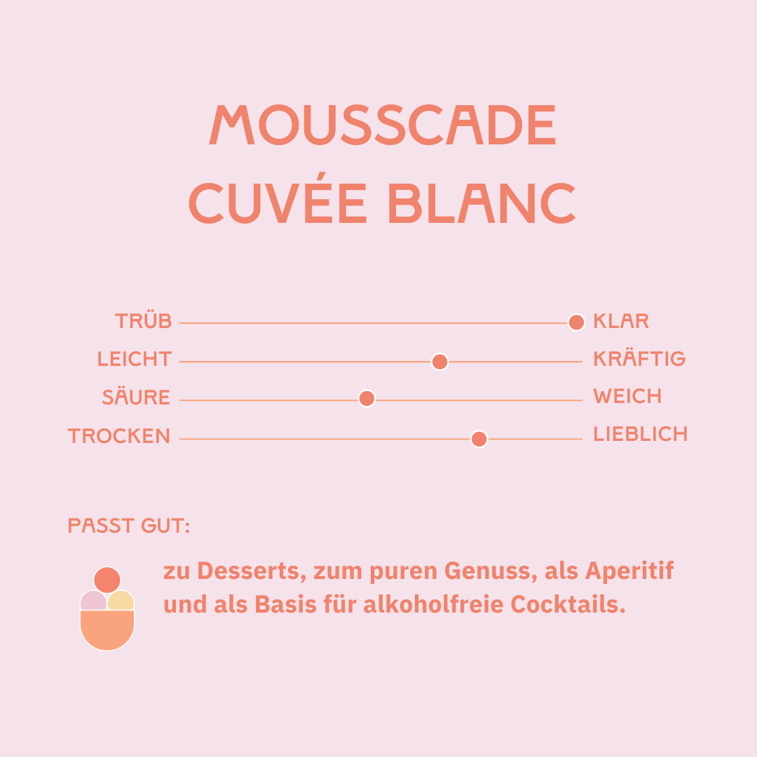 B-WARE BUNDLE: Mousscade Cuvée Blanc