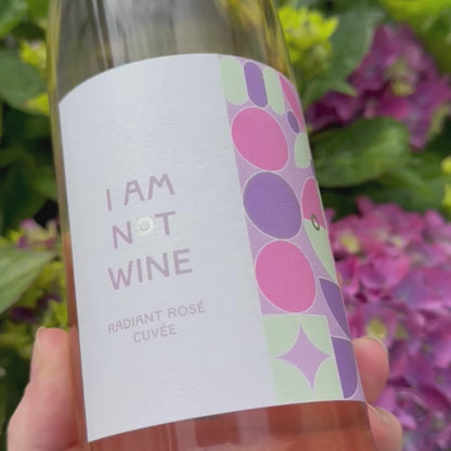Rosé Lover Bundle I alkoholfreier Roséwein und Sekt I 6 x 750ml