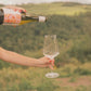 Set Sparkling Weiß & Rosé - 750ml